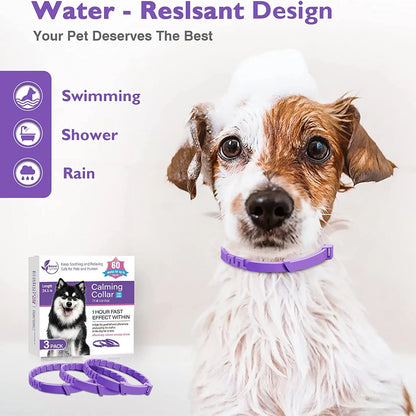 PawCalm™ — Collar Calmante de Feromonas para Perros y Gatos